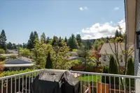 View 49