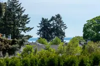 View 23
