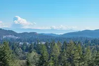 View 14