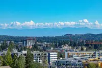 View 15
