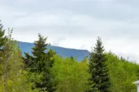 View 47