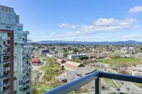 View 41