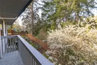 View 29