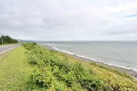 View 56
