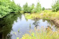 View 46