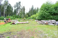 View 49
