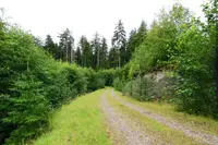 View 54