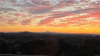 View 42