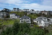 View 43