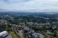 View 44