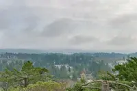 View 39
