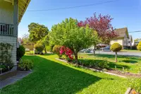 View 27