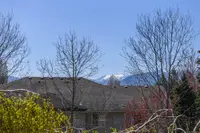 View 4