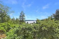 View 42