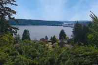 View 44