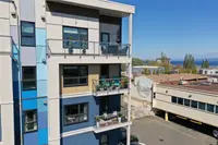 View 39