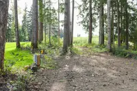 View 10