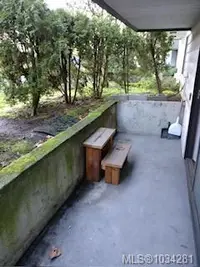 View 14
