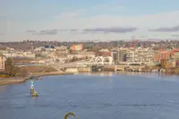 View 43