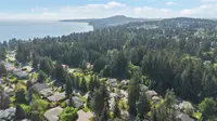 View 55
