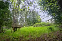 View 59