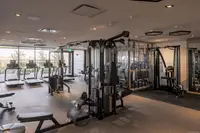 View 41