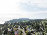 View 62