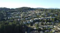 View 67