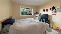 View 31