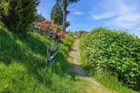 View 66