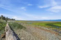 View 69