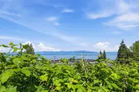View 65