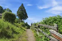 View 64