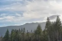 View 25