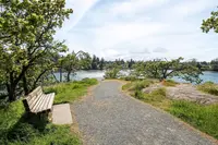 View 29