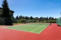 View 25