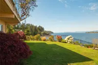 View 81