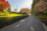 View 69