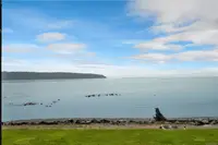 View 54