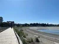 View 24