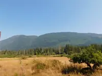 View 55