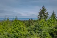 View 77