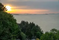 View 95