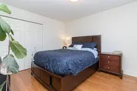 View 49