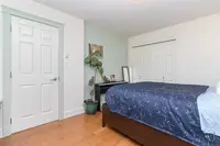 View 50