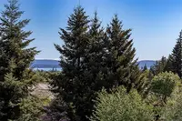 View 48