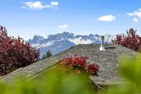 View 53