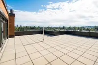 View 36