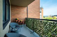 View 25