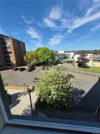 View 21